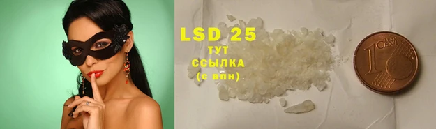 ешки Алзамай