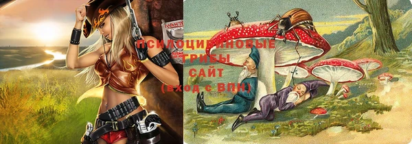 ешки Алзамай