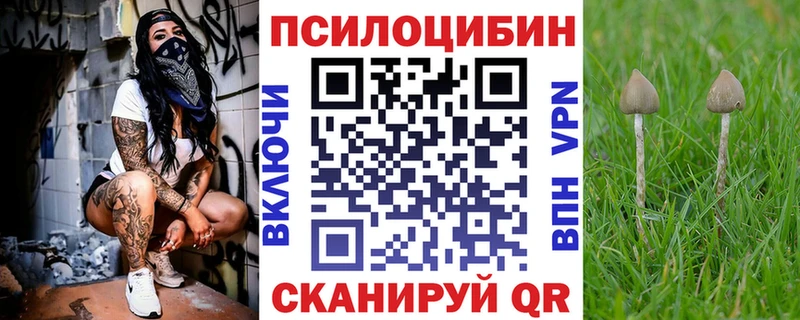 Галлюциногенные грибы Psilocybine cubensis Алексеевка